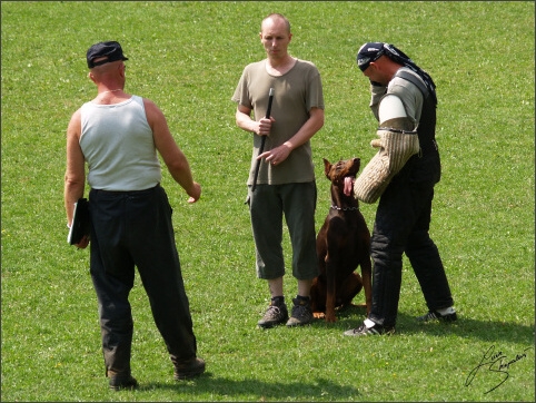 IPO exam - 26. 8. 2007 - Jelenec - Slovakia